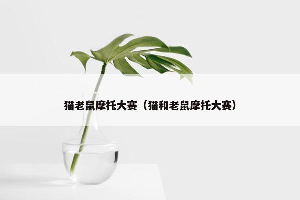 猫老鼠摩托大赛（猫和老鼠摩托大赛）