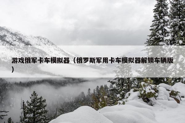 游戏俄军卡车模拟器（俄罗斯军用卡车模拟器解锁车辆版）