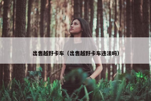 出售越野卡车（出售越野卡车违法吗）