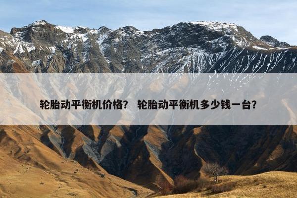 轮胎动平衡机价格？ 轮胎动平衡机多少钱一台？