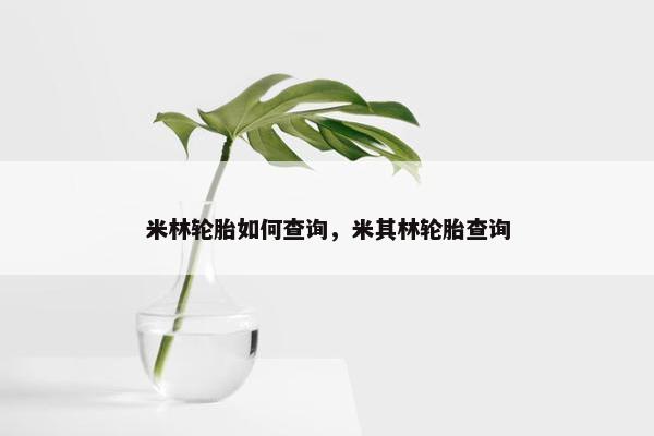 米林轮胎如何查询，米其林轮胎查询