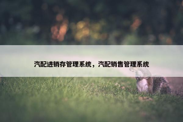 汽配进销存管理系统，汽配销售管理系统