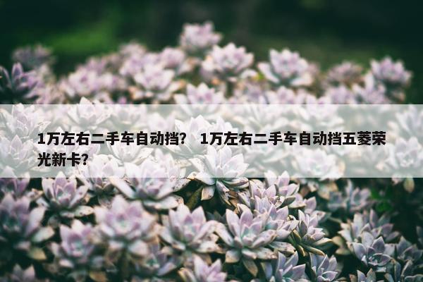 1万左右二手车自动挡？ 1万左右二手车自动挡五菱荣光新卡？
