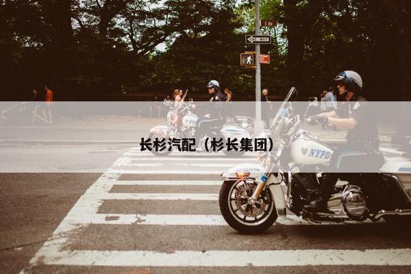 长杉汽配（杉长集团）