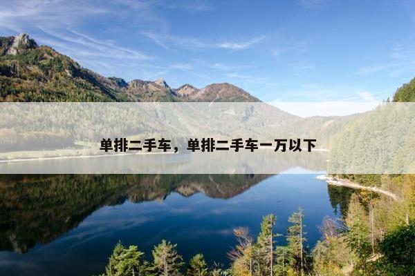 单排二手车，单排二手车一万以下