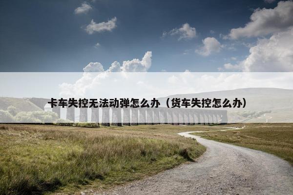 卡车失控无法动弹怎么办（货车失控怎么办）