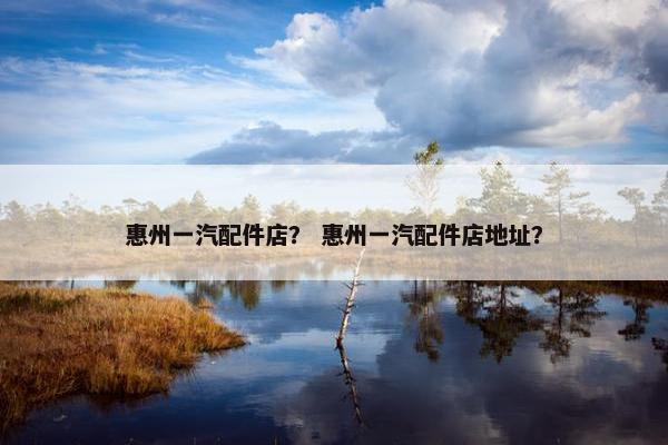 惠州一汽配件店？ 惠州一汽配件店地址？