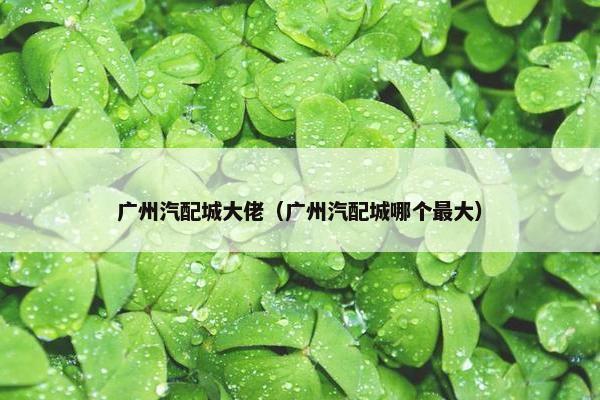 广州汽配城大佬（广州汽配城哪个最大）