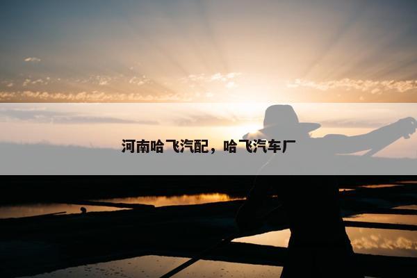 河南哈飞汽配，哈飞汽车厂