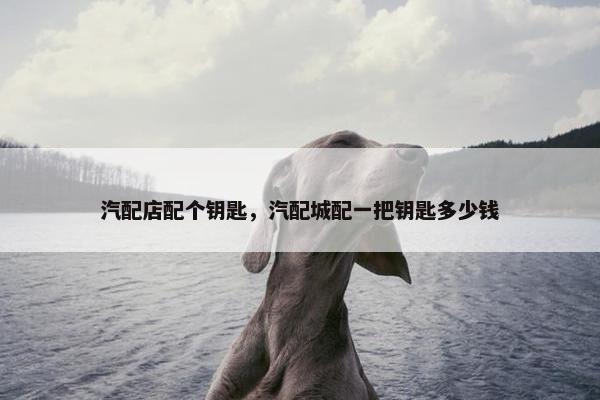 汽配店配个钥匙，汽配城配一把钥匙多少钱