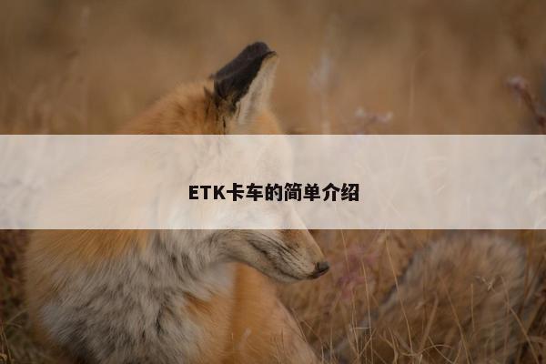 ETK卡车的简单介绍