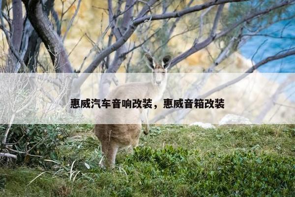 惠威汽车音响改装，惠威音箱改装