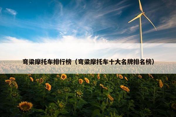 弯梁摩托车排行榜（弯梁摩托车十大名牌排名榜）
