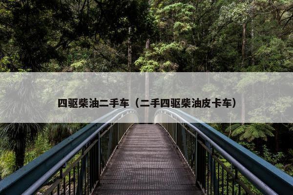 四驱柴油二手车（二手四驱柴油皮卡车）