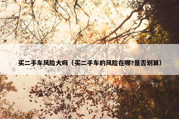 买二手车风险大吗（买二手车的风险在哪?是否划算）