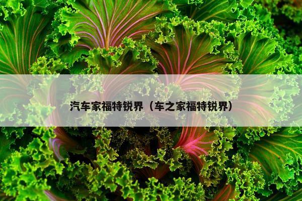 汽车家福特锐界（车之家福特锐界）