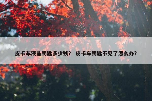 皮卡车液晶钥匙多少钱？ 皮卡车钥匙不见了怎么办？