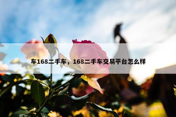 车168二手车，168二手车交易平台怎么样