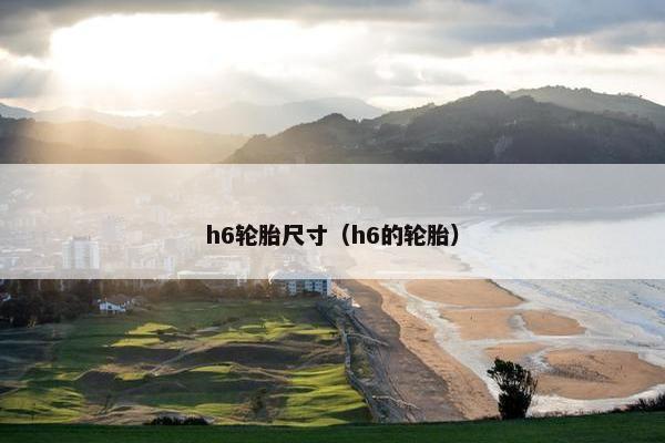 h6轮胎尺寸（h6的轮胎）