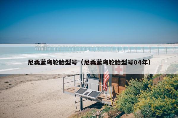 尼桑蓝鸟轮胎型号（尼桑蓝鸟轮胎型号04年）