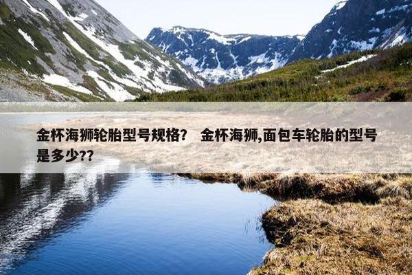 金杯海狮轮胎型号规格？ 金杯海狮,面包车轮胎的型号是多少?？