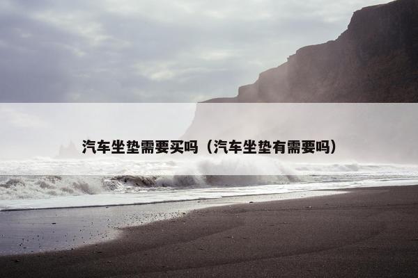 汽车坐垫需要买吗（汽车坐垫有需要吗）