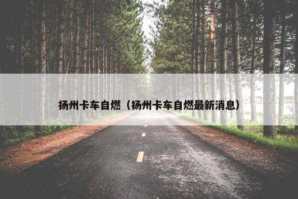 扬州卡车自燃（扬州卡车自燃最新消息）