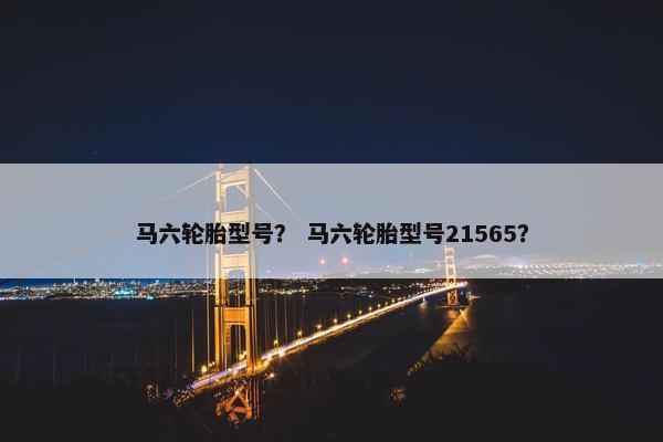 马六轮胎型号？ 马六轮胎型号21565？