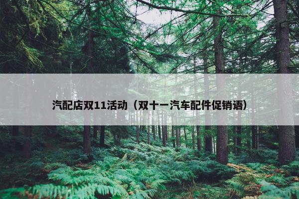 汽配店双11活动（双十一汽车配件促销语）