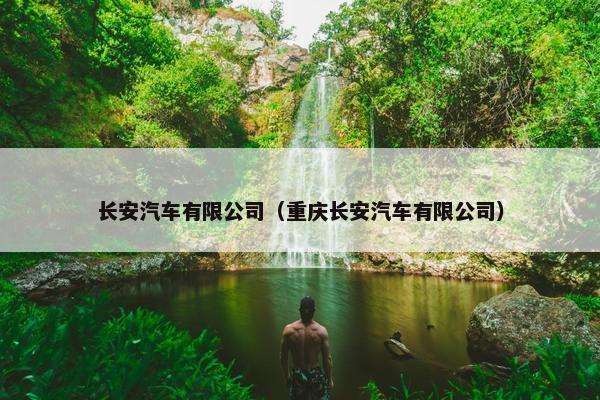 长安汽车有限公司（重庆长安汽车有限公司）