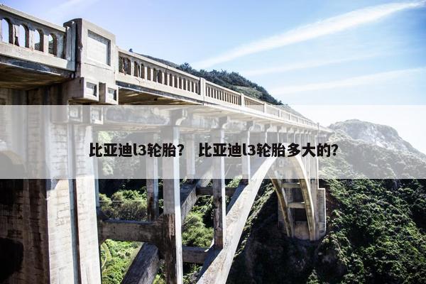 比亚迪l3轮胎？ 比亚迪l3轮胎多大的？