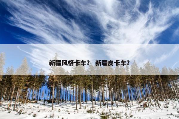 新疆风格卡车？ 新疆皮卡车？