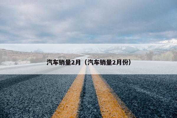 汽车销量2月（汽车销量2月份）