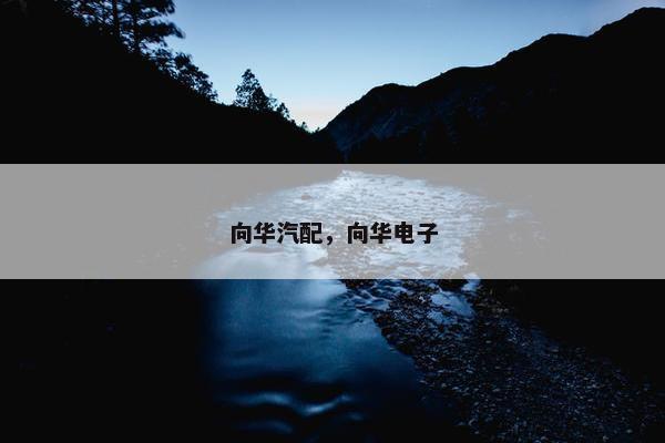 向华汽配，向华电子