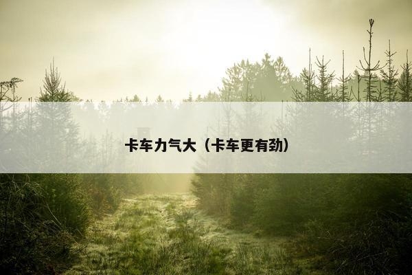卡车力气大（卡车更有劲）