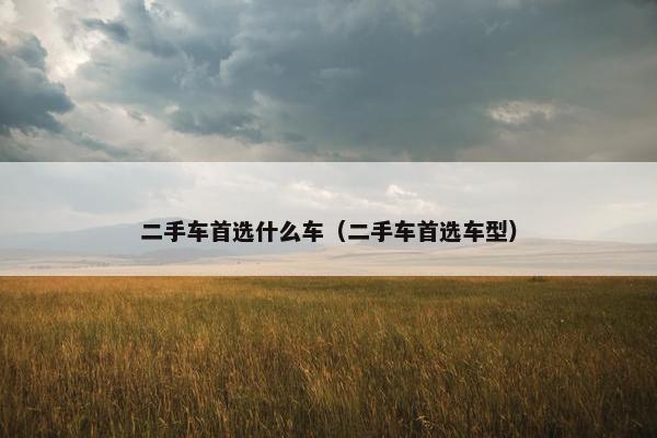 二手车首选什么车（二手车首选车型）