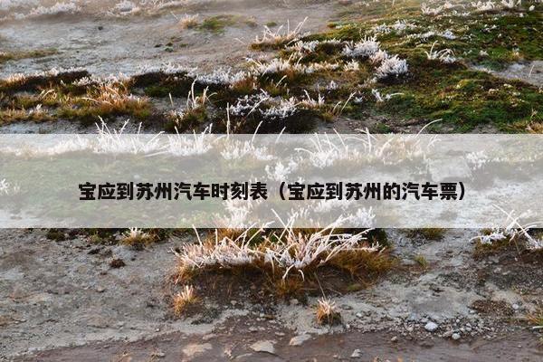 宝应到苏州汽车时刻表（宝应到苏州的汽车票）
