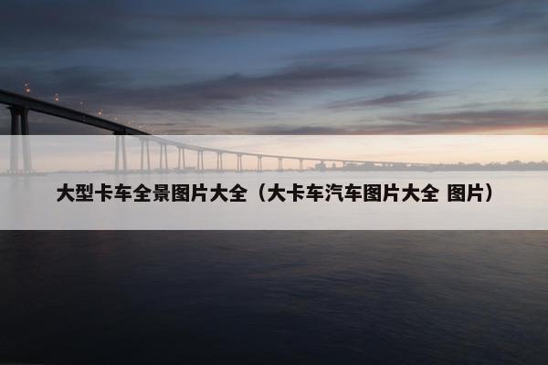 大型卡车全景图片大全（大卡车汽车图片大全 图片）
