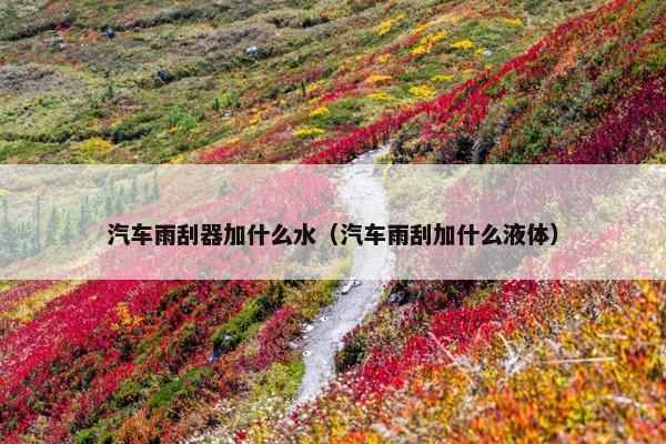 汽车雨刮器加什么水（汽车雨刮加什么液体）