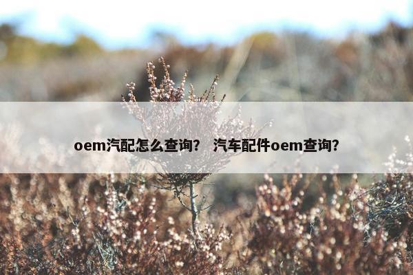 oem汽配怎么查询？ 汽车配件oem查询？