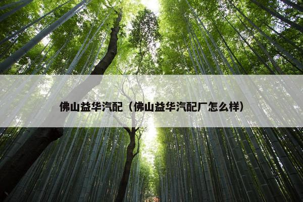 佛山益华汽配（佛山益华汽配厂怎么样）