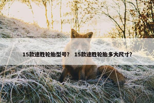 15款途胜轮胎型号？ 15款途胜轮胎多大尺寸？
