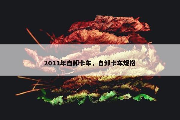 2011年自卸卡车，自卸卡车规格