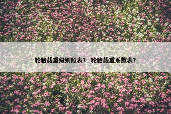 轮胎载重级别照表？ 轮胎载重系数表？