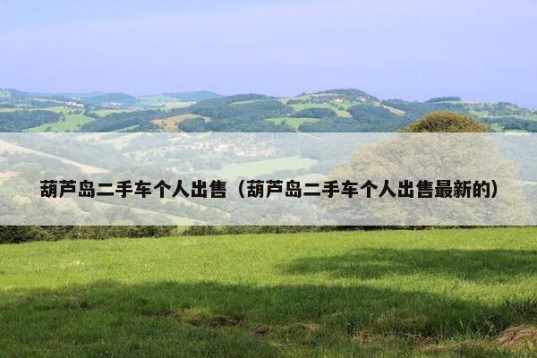 葫芦岛二手车个人出售（葫芦岛二手车个人出售最新的）