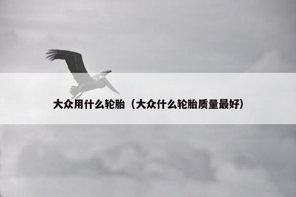 大众用什么轮胎（大众什么轮胎质量最好）
