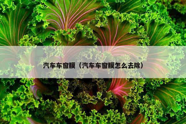 汽车车窗膜（汽车车窗膜怎么去除）
