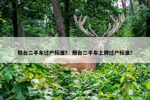 邢台二手车过户标准？ 邢台二手车上牌过户标准？