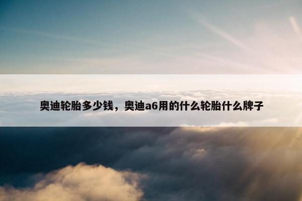 奥迪轮胎多少钱，奥迪a6用的什么轮胎什么牌子