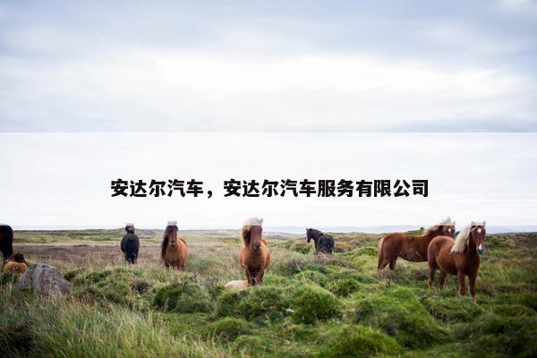 安达尔汽车，安达尔汽车服务有限公司